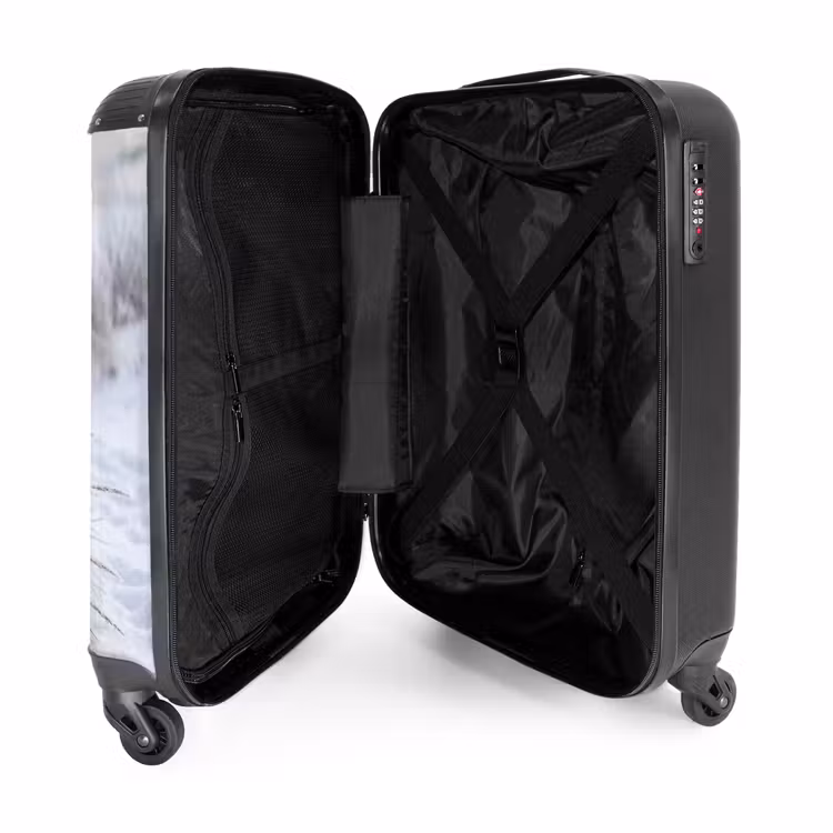 Valise - Dunes - Neige - Plage - Hiver - Sérénité — 5