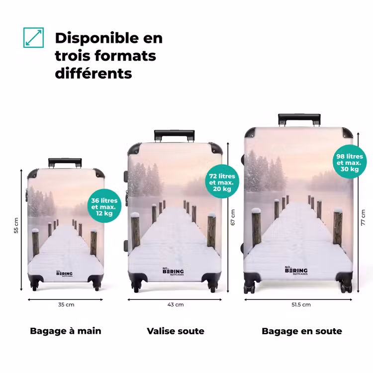 Valise - Embarcadère - Lac - Brouillard - Hiver - Sérénité — 3