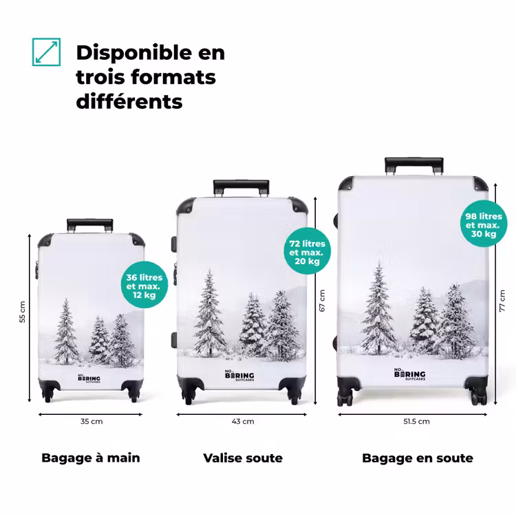 Valise - Épicéas - Neige - Hiver - Paysage - Silence — 3