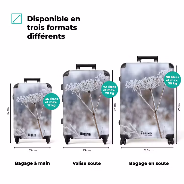 Valise - Fleur d'écran - Mûre - Cristaux - Hiver - Délicate — 3