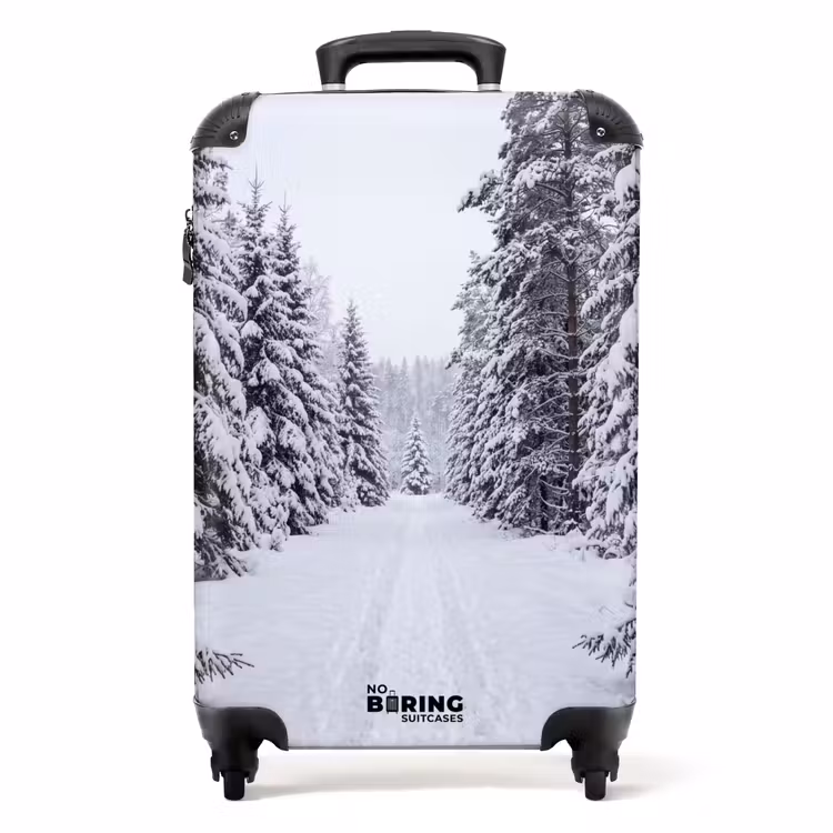 Valise - Forêt - Hiver - Neige - Sentier - Nature — 1