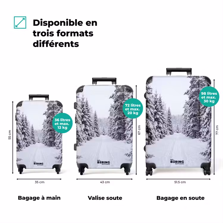 Valise - Forêt - Hiver - Neige - Sentier - Nature — 3