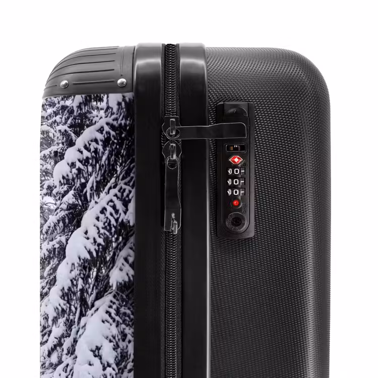 Valise - Forêt - Hiver - Neige - Sentier - Nature — 6