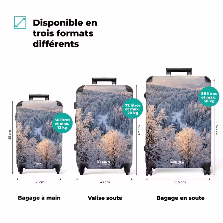 Valise - Forêt - Montagnes - Or - Hiver - Chaleur — 3