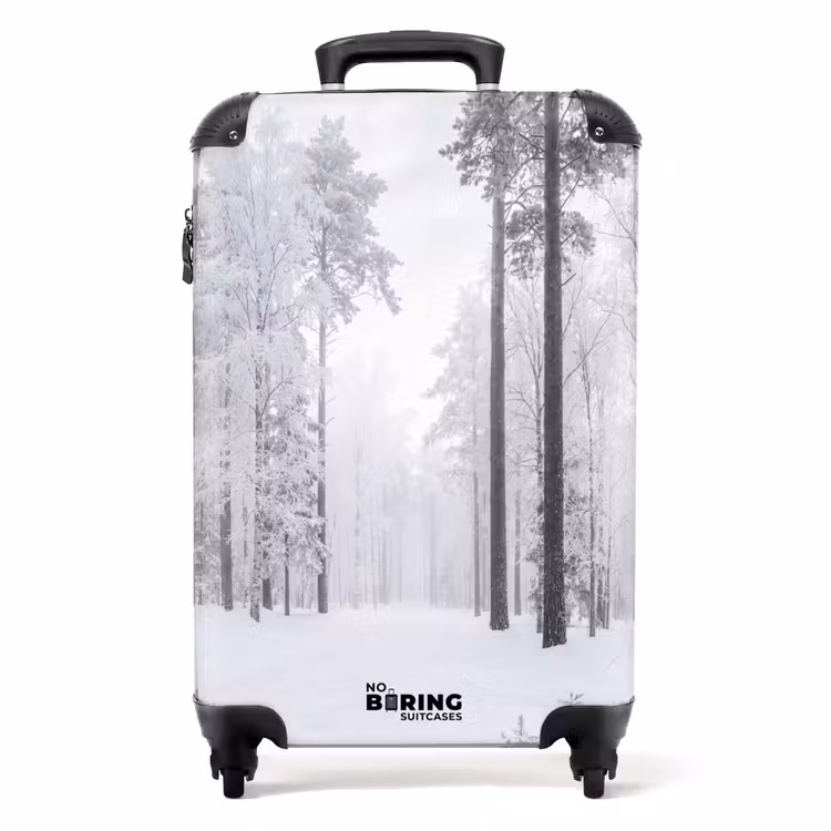 Valise - Forêt - Neige - Sentier - Hiver - Silence — 1