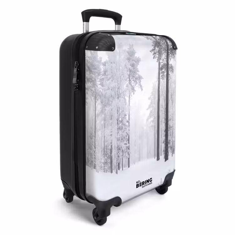 Valise - Forêt - Neige - Sentier - Hiver - Silence — 2