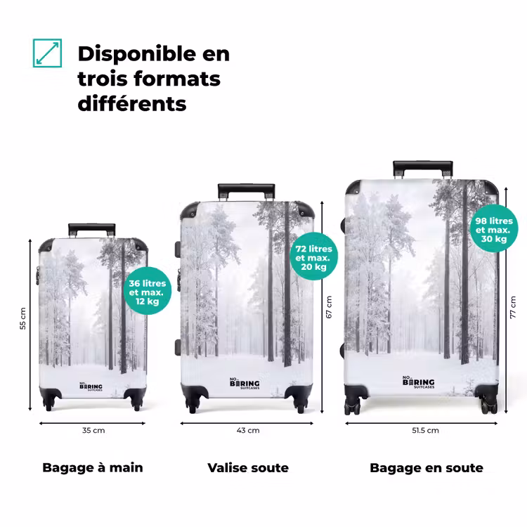 Valise - Forêt - Neige - Sentier - Hiver - Silence — 3