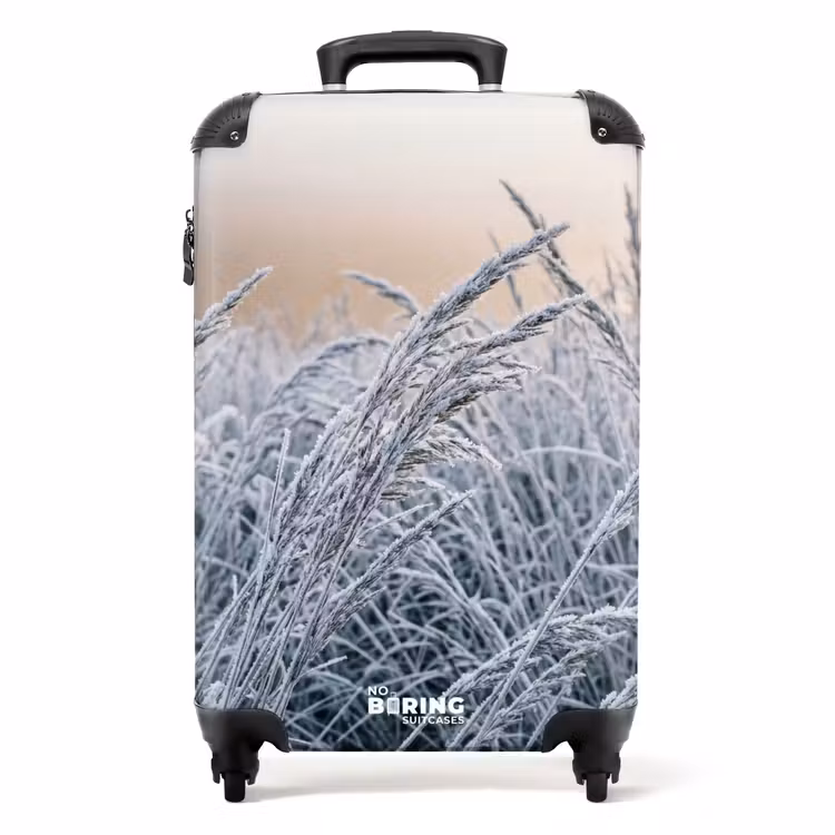 Valise - Givre - Herbe - Cristaux - Hiver - Minimaliste — 1