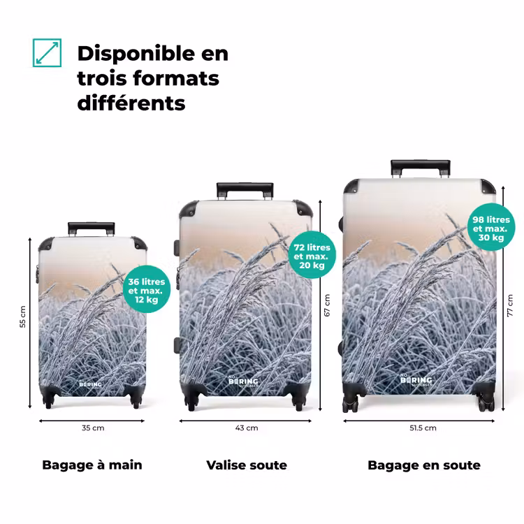 Valise - Givre - Herbe - Cristaux - Hiver - Minimaliste — 3