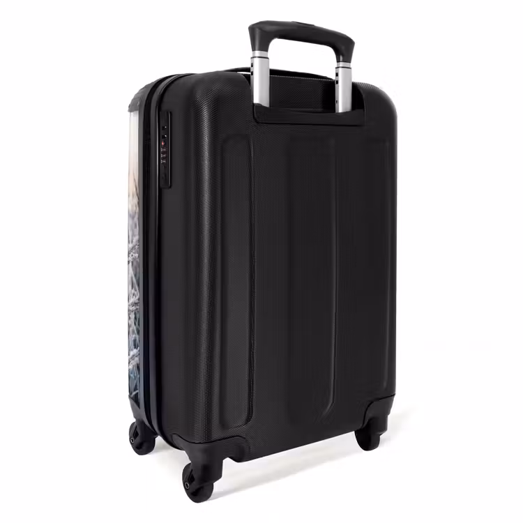 Valise - Givre - Herbe - Cristaux - Hiver - Minimaliste — 4