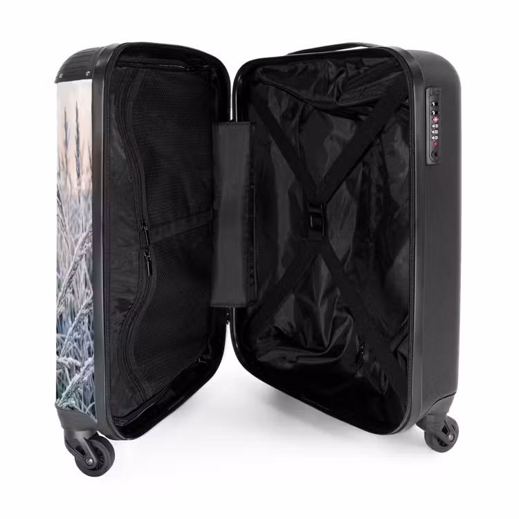 Valise - Givre - Herbe - Cristaux - Hiver - Minimaliste — 5