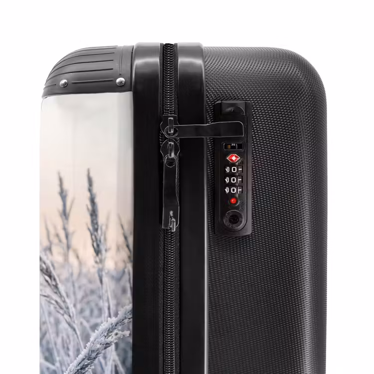 Valise - Givre - Herbe - Cristaux - Hiver - Minimaliste — 6