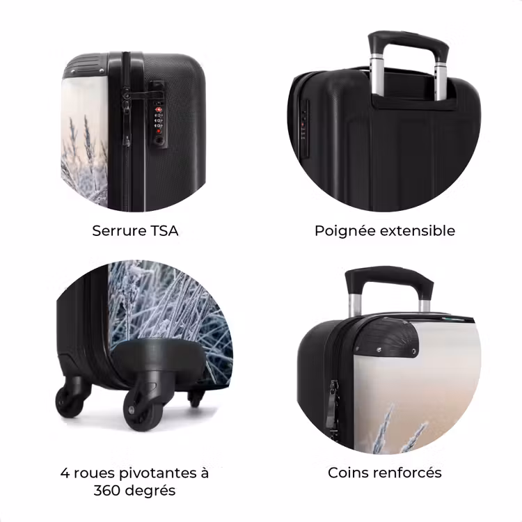 Valise - Givre - Herbe - Cristaux - Hiver - Minimaliste — 8