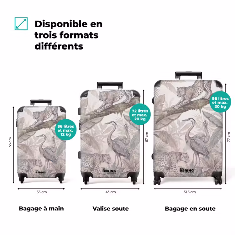 Valise - Chat - Oiseau - Jungle - Illustration - Animaux — 3