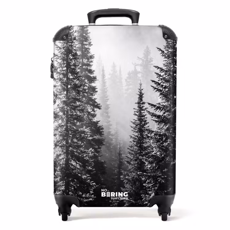Valise - Forêt - Brouillard - Hiver - Monochrome - Nature — 1