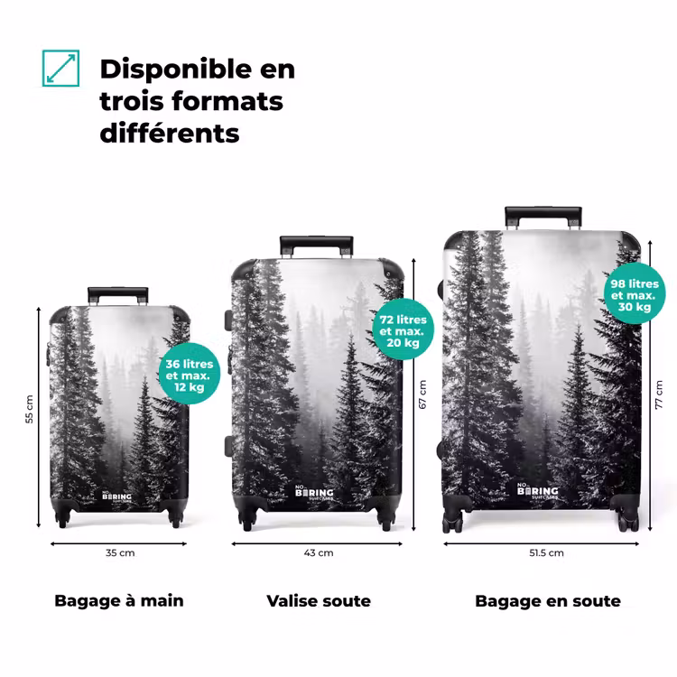 Valise - Forêt - Brouillard - Hiver - Monochrome - Nature — 3