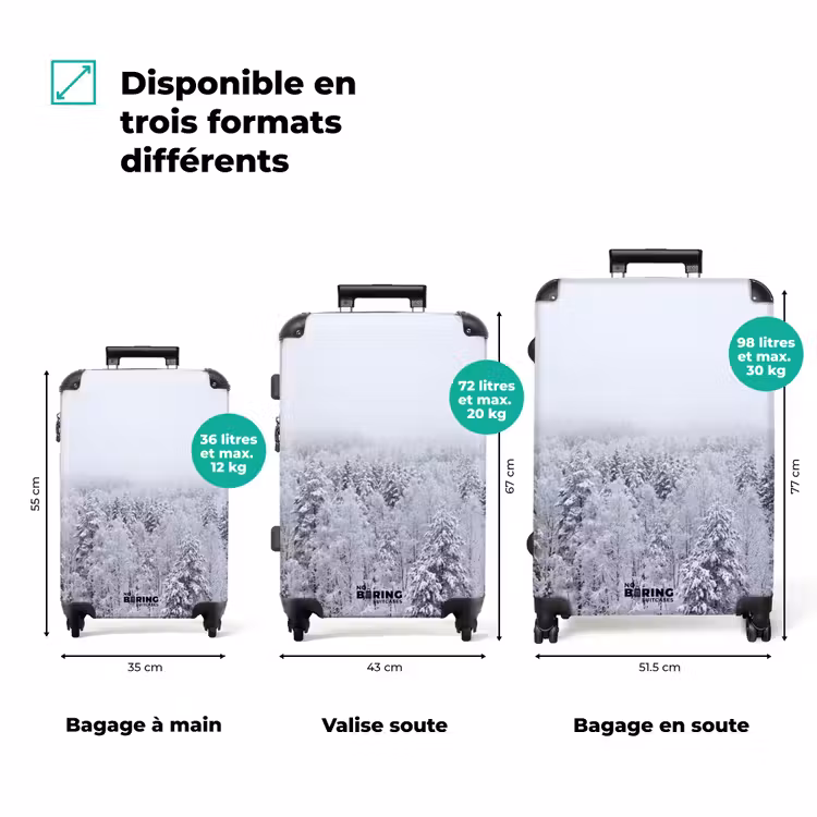 Valise - Forêt - Neige - Hiver - Nature - Blanc — 3