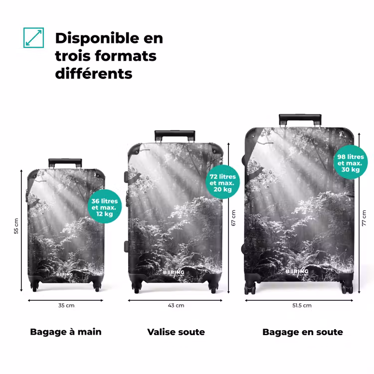 Valise - Forêt - Rayons de lumière - Nature - Noir et blanc — 3