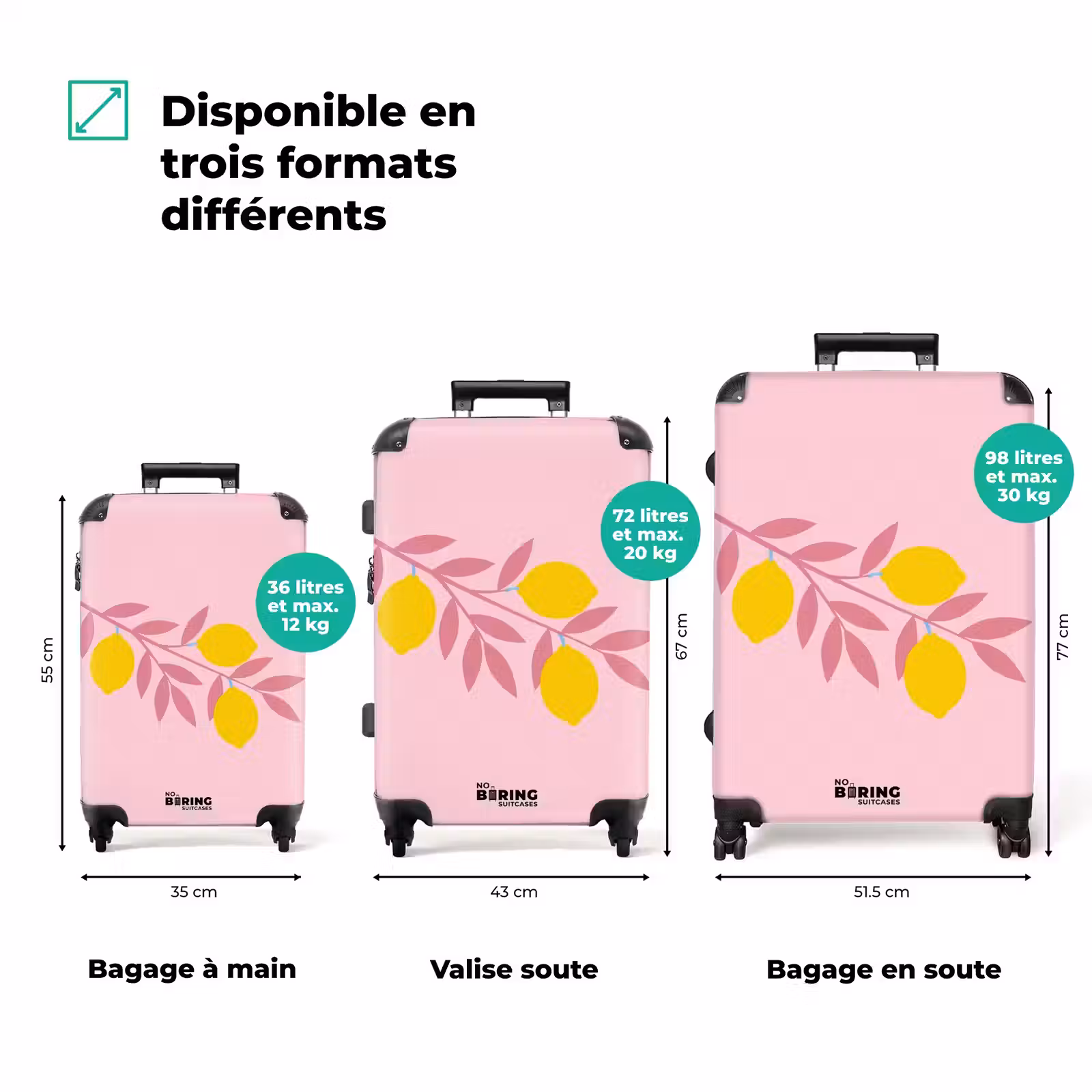 Valise - Fruits - Branche - Nature - Abstrait - Rose — 1