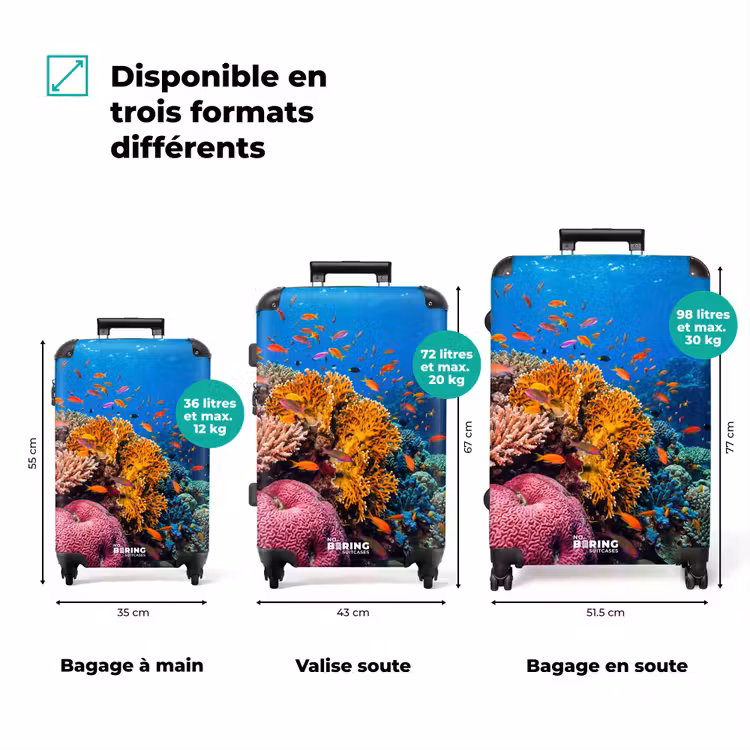 Valise - Corail - Poissons - Océan - Nature - Coloré — 3