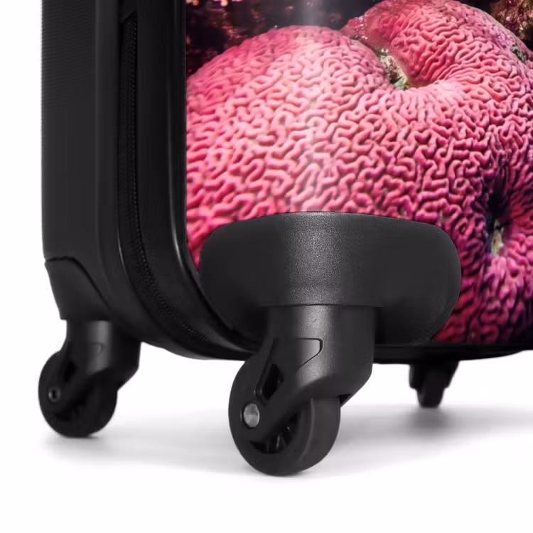 Valise - Corail - Poissons - Océan - Nature - Coloré — 7