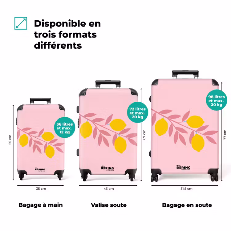 Valise - Fruits - Branche - Nature - Abstrait - Rose — 1