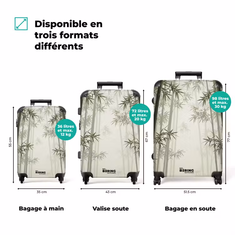 Valise - Bambou - Forêt - Brume - Nature — 3