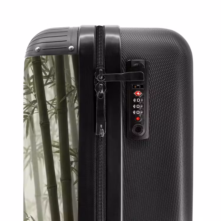 Valise - Bambou - Forêt - Brume - Nature — 6