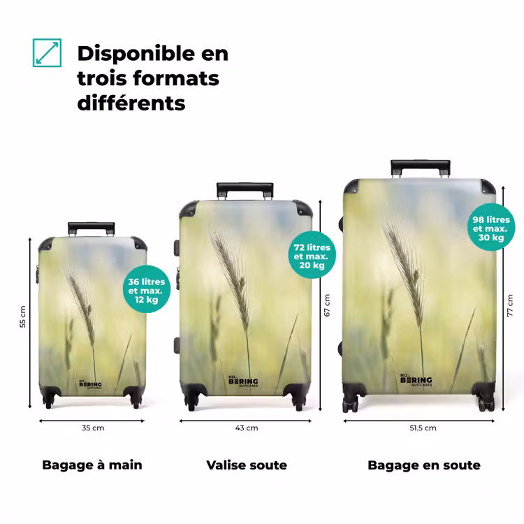 Valise - Céréales - Épi - Nature - Vert - Détail — 3
