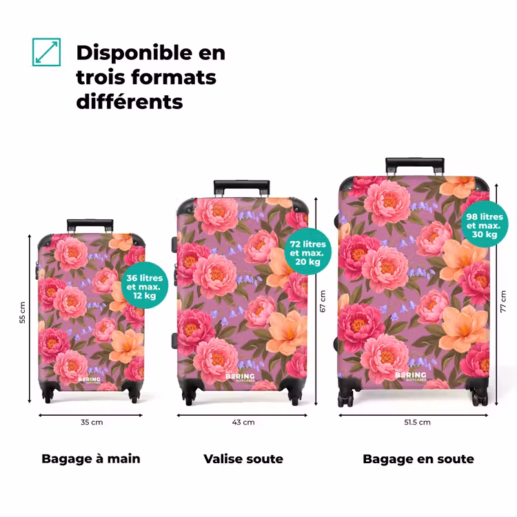 Valise - Fleurs - Motif - Illustration - Rose — 1