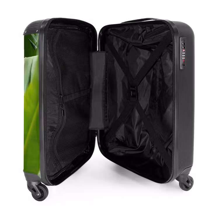 Valise - Alimentation - Bananes - Plantation - Vert — 5