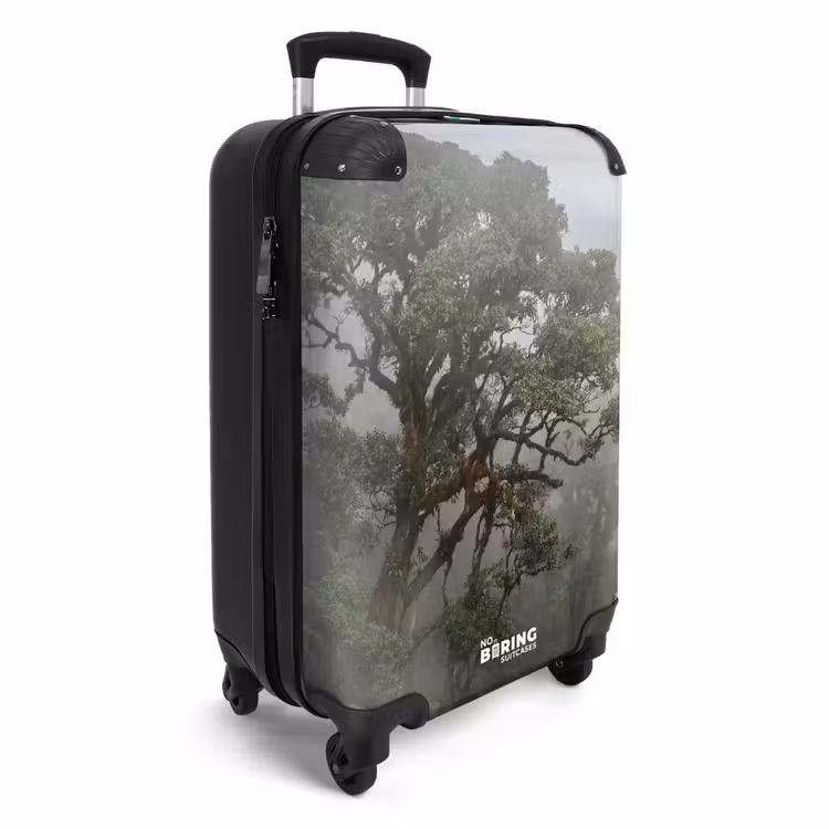 Valise - Arbre - Brume - Forêt - Vert - Nature — 2