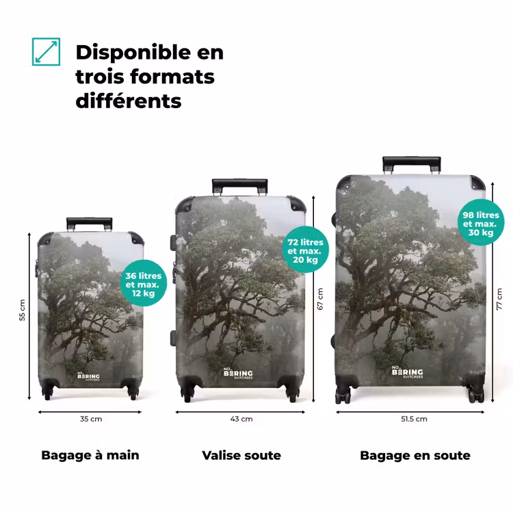 Valise - Arbre - Brume - Forêt - Vert - Nature — 3