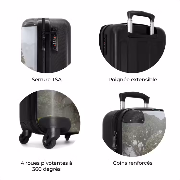 Valise - Arbre - Brume - Forêt - Vert - Nature — 8