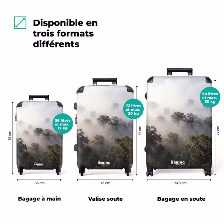 Valise - Forêt - Brouillard - Nature - Vert — 3