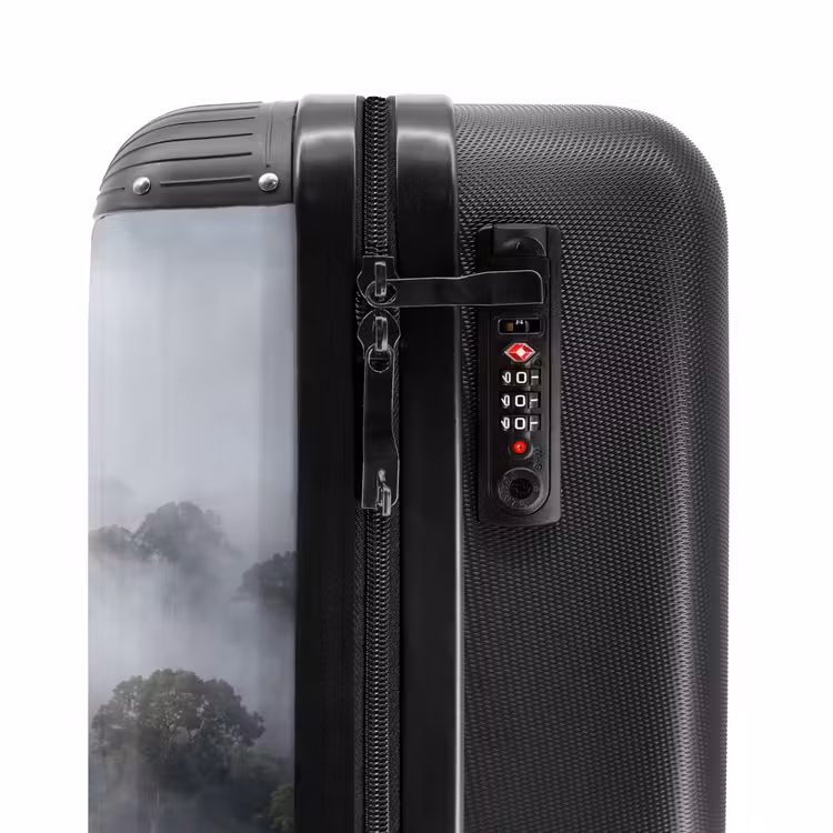 Valise - Forêt - Brouillard - Nature - Vert — 6