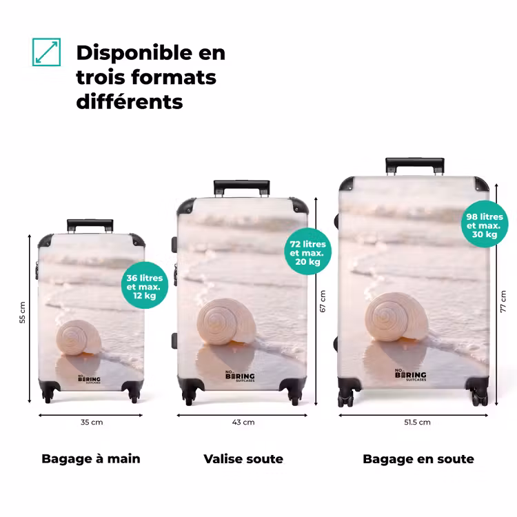 Valise - Coquillage - Plage - Mer - Nature - Beige — 1