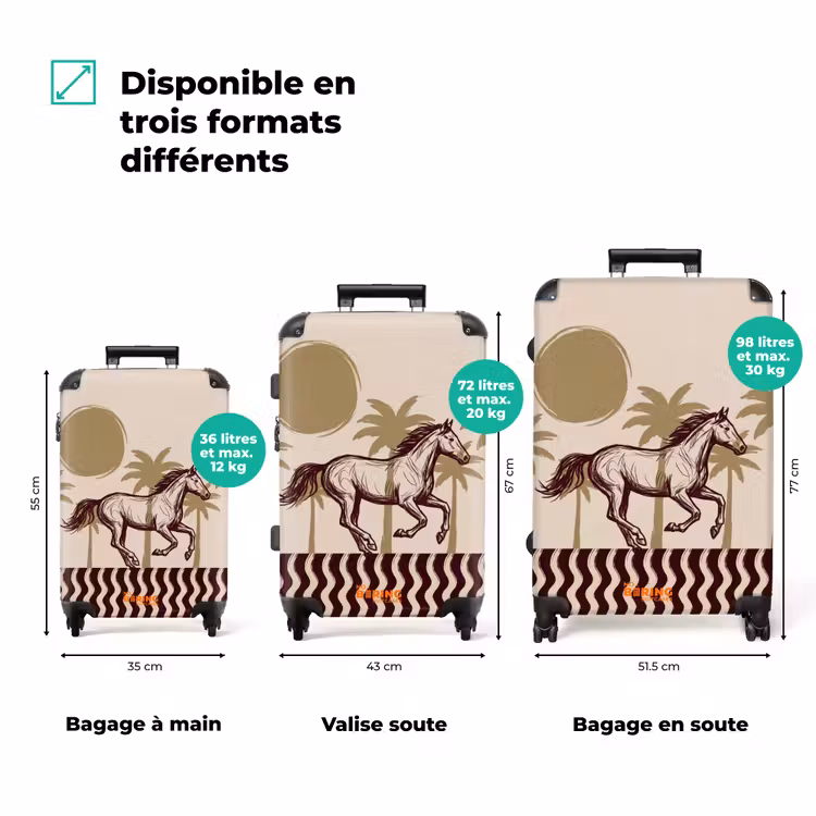 Valise - Cheval - Au galop - Désert - Illustration — 1