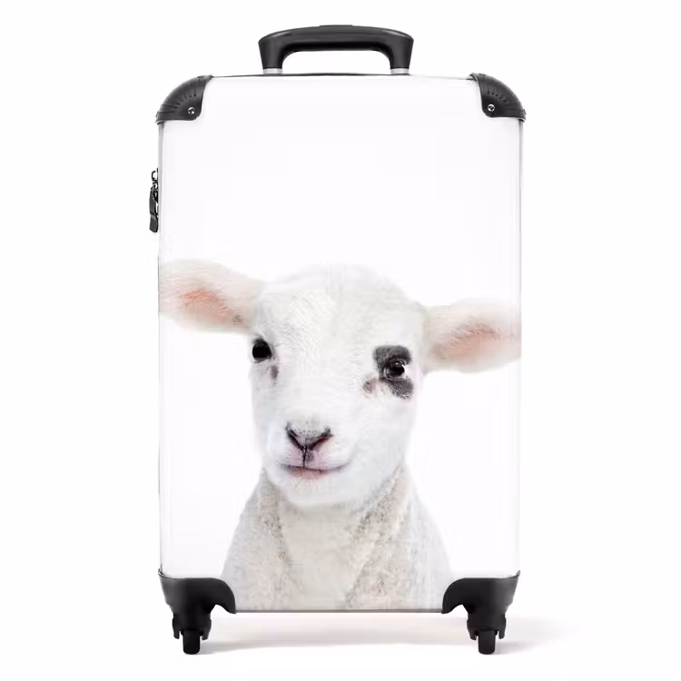 Valise - Lam-mert — 1