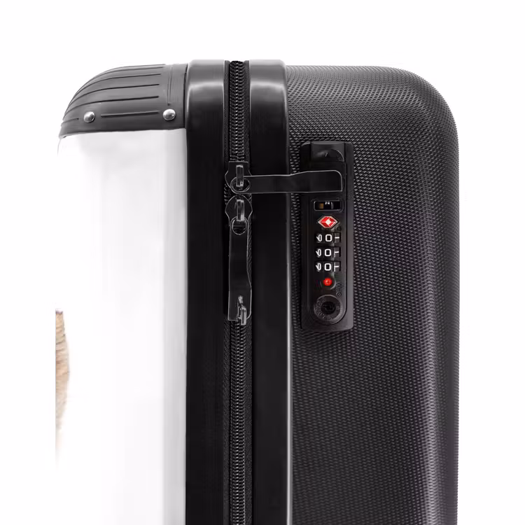 Valise - Vicky Fox — 5