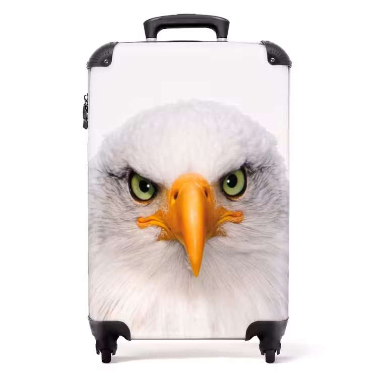 Valise -  Harry le faucon — 1