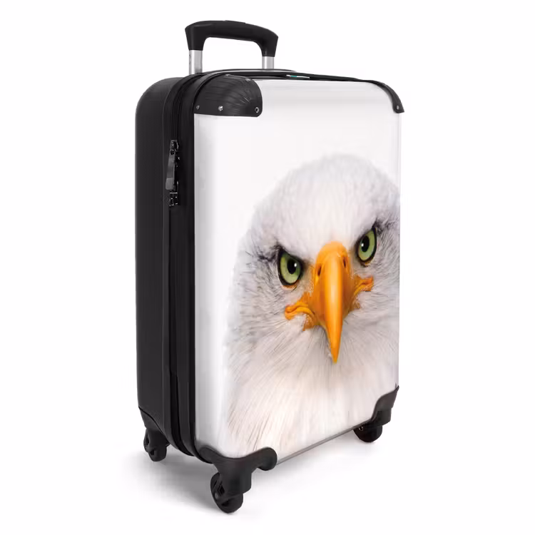 Valise -  Harry le faucon — 2