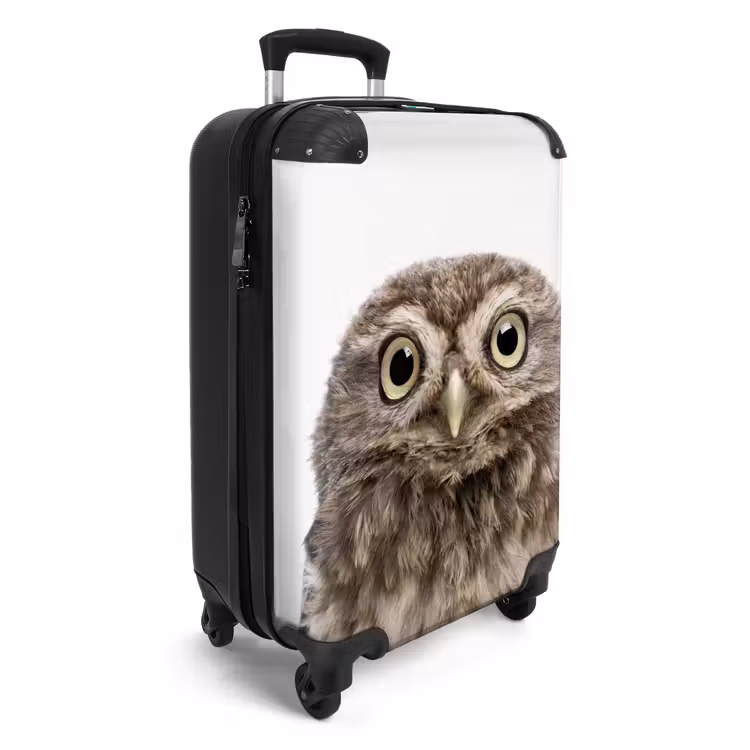 Valise -  Hibou d'Ulke — 2