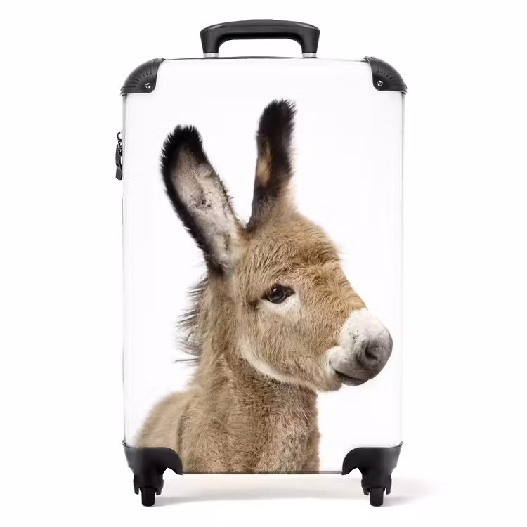 Valise - L'âne Eddy — 1