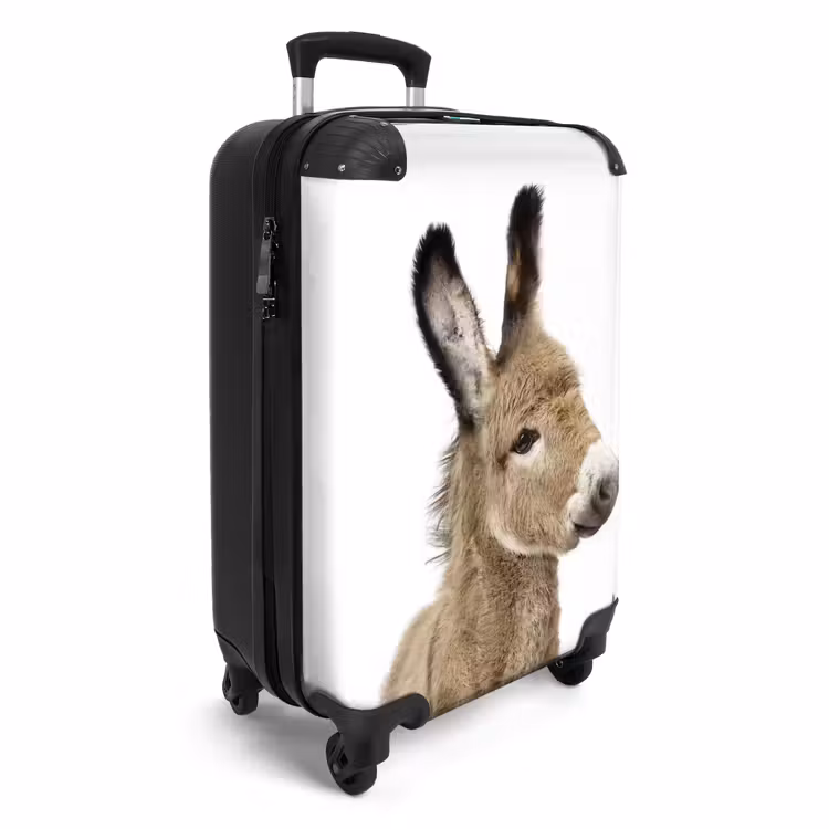 Valise - L'âne Eddy — 2