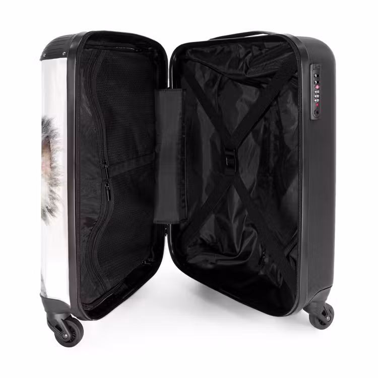 Valise - Mignon Koala — 4