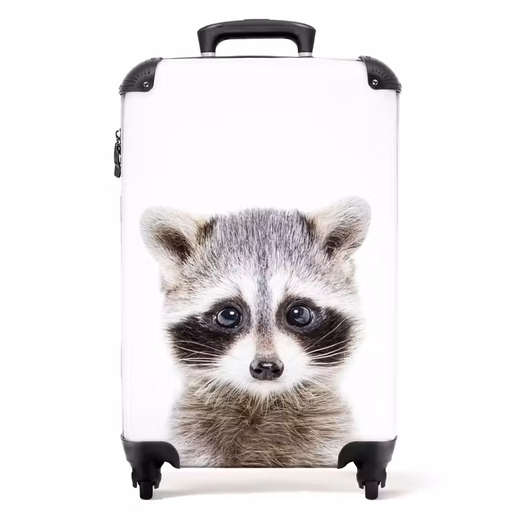Valise - Rachid Racoon — 1