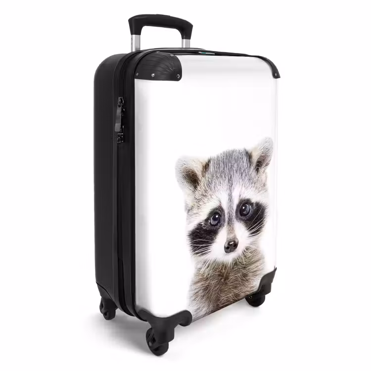 Valise - Rachid Racoon — 2