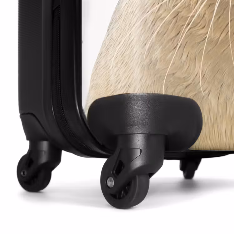 Valise - Sceau Zyon — 6