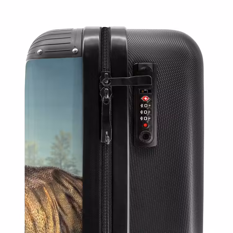 Valise - Thijs Tyrannosaure — 5